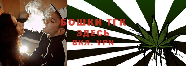 ешки Аркадак