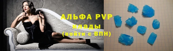 ешки Аркадак