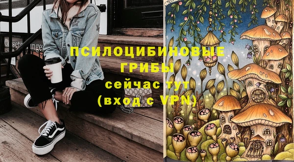 ешки Аркадак