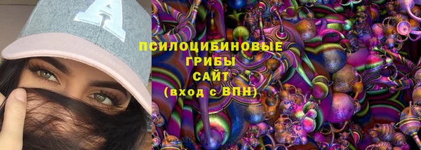 Альфа ПВП Арсеньев