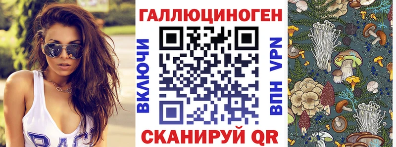 Псилоцибиновые грибы Psilocybine cubensis  Семилуки 